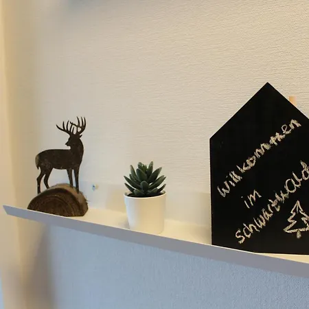 1-zimmer-apartment Mit Grossem Balkon *