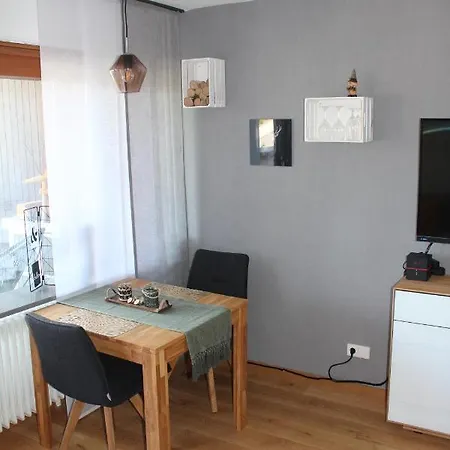 1-zimmer-apartment Mit Grossem Balkon