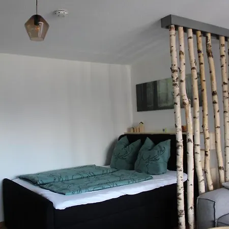 1-zimmer-apartment Mit Grossem Balkon * Schönwalde