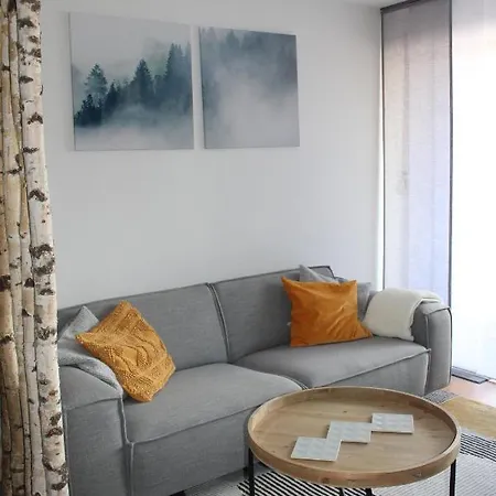 1-zimmer-apartment Mit Grossem Balkon Apartment