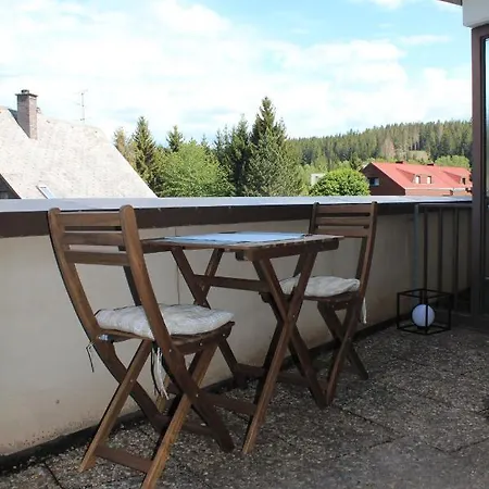 1-zimmer-apartment Mit Grossem Balkon