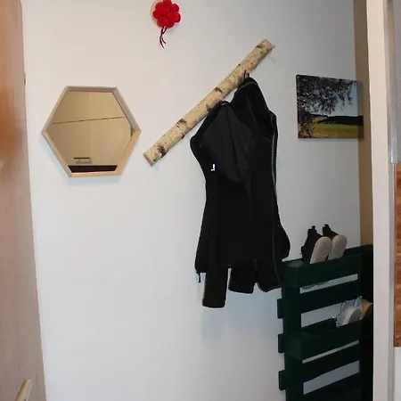 1-zimmer-apartment Mit Grossem Balkon Appartement