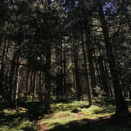 Apartment 1-zimmer-apartment Mit Grossem Balkon Schönwalde