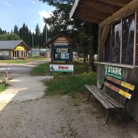1-zimmer-apartment Mit Grossem Balkon