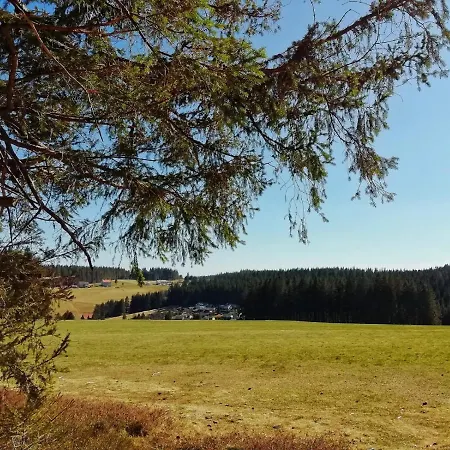 1-zimmer-apartment Mit Grossem Balkon